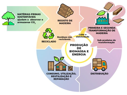 Economia Circular